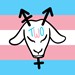 Transgender Wellness Organization Profile Picture