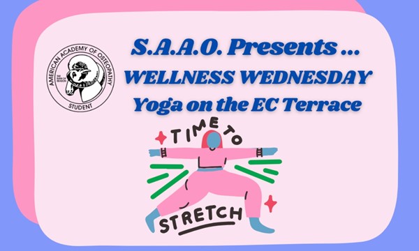 Wellness Wednesday ~ Yoga on the Terrace!