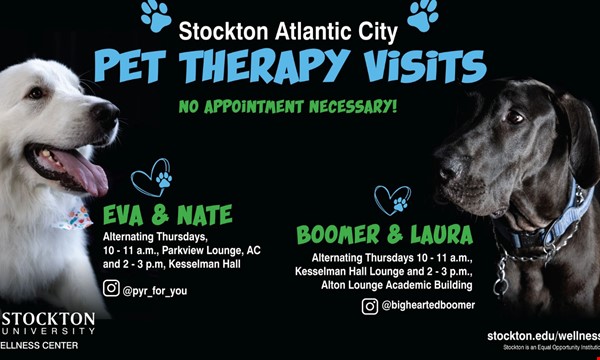 Break Time with Boomer