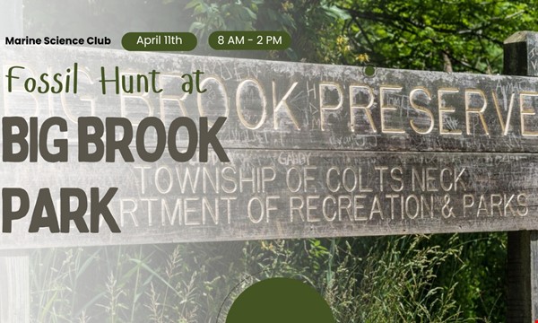 Fossil Hunt at Big Brook Park