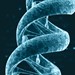 Biotechnology Club (Lake Nona Campus) Profile Picture