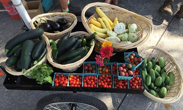 Sustainability Farm Tour