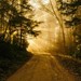 Son's Light Ministries Profile Picture