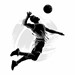 Volleyball club  Profile Picture
