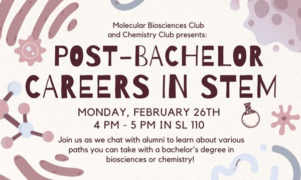Post-Bachelor Careers in STEM