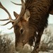 Prismatic Science & Natural History Filmmaking Graduate Program Profile Picture