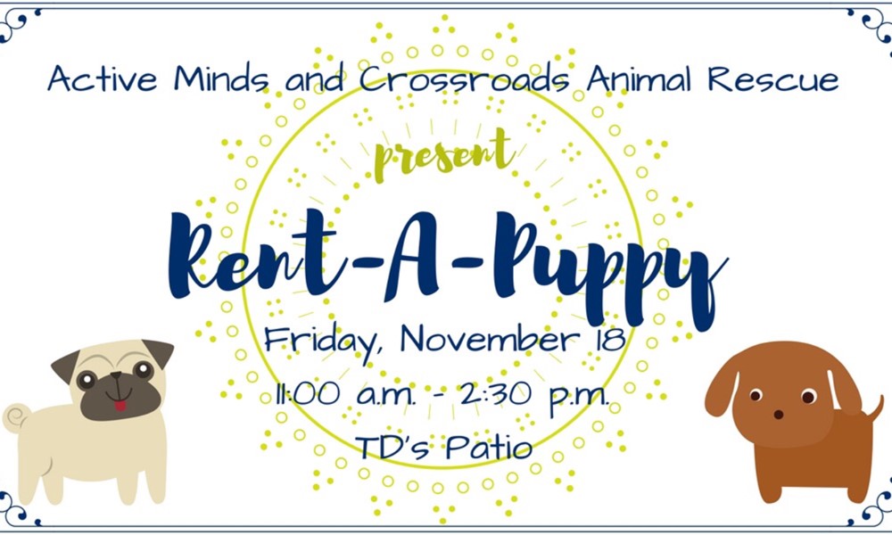 Rent-A-Puppy - TigerQuest Rent-A-Puppy - TigerQuest