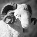Student Center Profile Picture