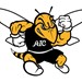 Student-Athlete Advisory Council Profile Picture