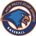 New Paltz Club Baseball Profile Picture