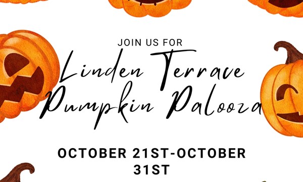 Linden Terrace: Pumpkin Palooza