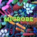 American Society for Microbiology Profile Picture