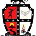 Delta Phi Delta Dance Fraternity, Inc., Upsilon Chapter Profile Picture