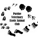 Veterinary Exotic Animal Club