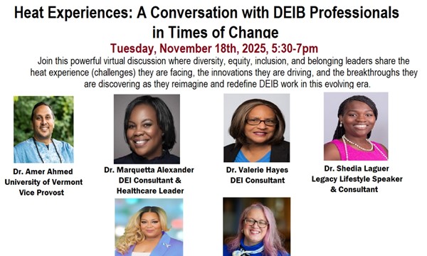 Heat Experiences - A Conversation with DEIB Professionals in Times of Change