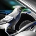 Storm Surge Auto Club Profile Picture