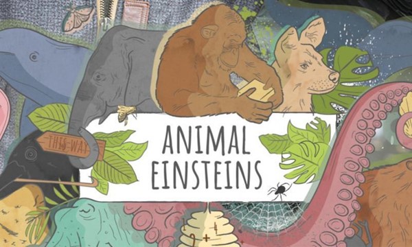 Documentary Night -- Animal Einsteins DOUBLE FEATURE!