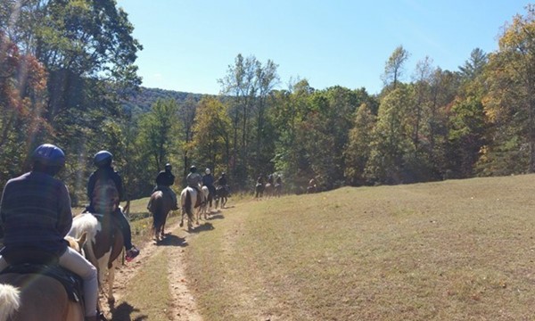 Nature Bound: Horseback Riding and Camping