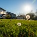 Ecovillage Profile Picture