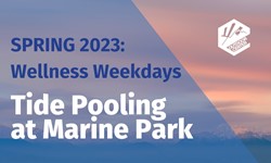 Tide Pooling at Marine Park Thumbnail