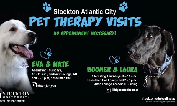 Break time with Boomer