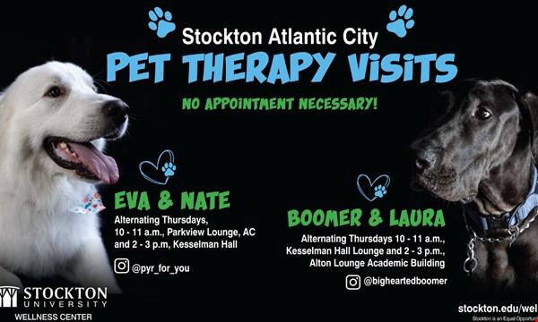 Pet Therapy With Eva! (Meet the Floof AC)