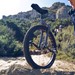 Cal Poly Unicycle Club Profile Picture