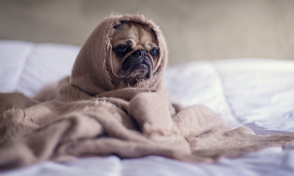 Sleep Solutions
