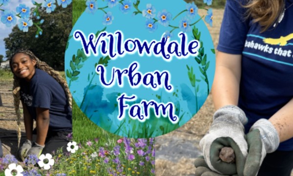 Photo inspiration: Practical Volunteering At Urban Farms Visual Reference