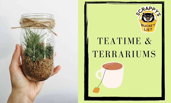 Teatime & Terrariums