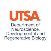 Department of Neuroscience, Developmental and Regenerative Biology