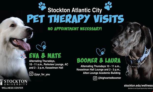 Break Time with Boomer