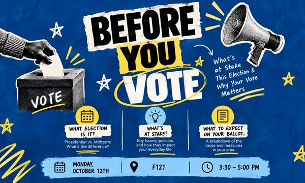 Before You Vote
