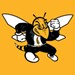 Saremi Center for Career Development Profile Picture