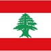 Lebanese International Organization