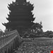 Chinese Language and Culture Club Profile Picture