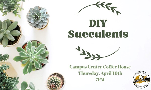 Get Crafty: DIY Succulents