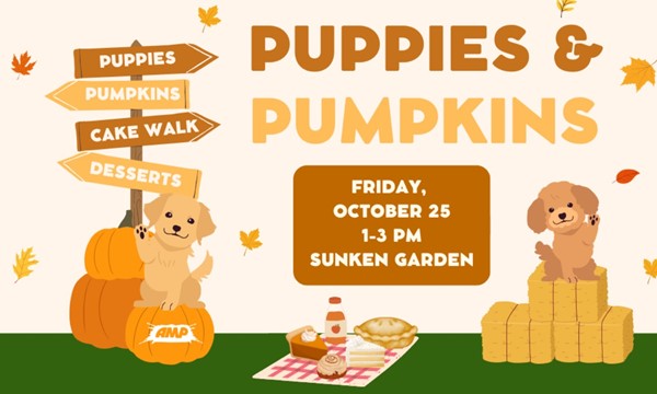 Puppies & Pumpkins