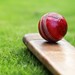 Cricket - Club Sport Profile Picture