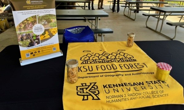 Friday in the Food Forest