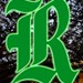 Rice Undergraduate Society for Environmental Science Profile Picture