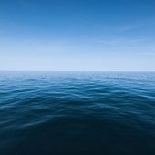 Marine Club