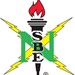 National Society of Black Engineers Profile Picture