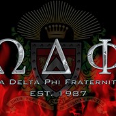 omega delta phi knight