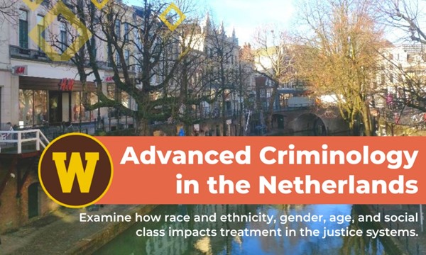 phd criminology netherlands